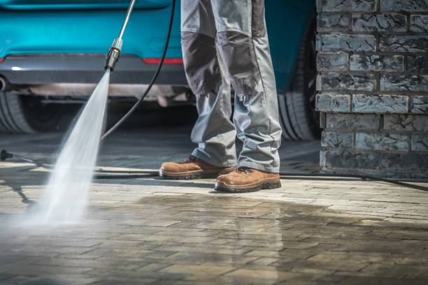 Best Dumpster Area Cleaning  in Centreville, MS
