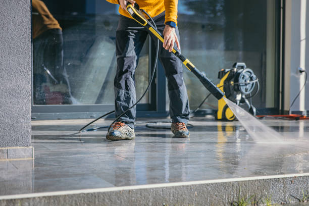 Best Gutter Cleaning  in Centreville, MS